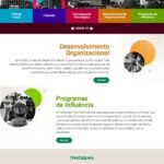 Relatório anual 2020 - Fundação Tide Setubal